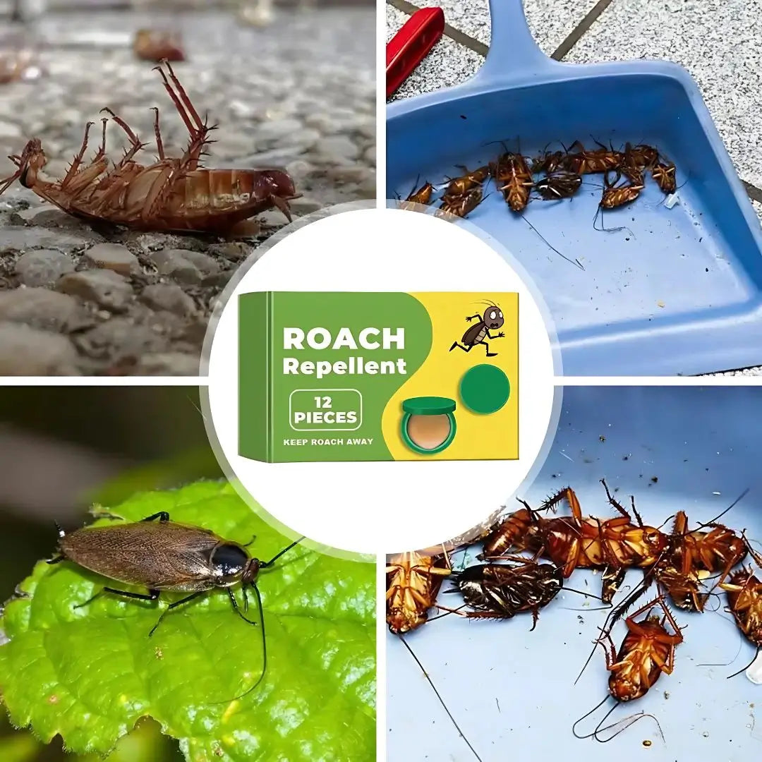 “Roach Repellent la muralla invisible contra cucarachas”